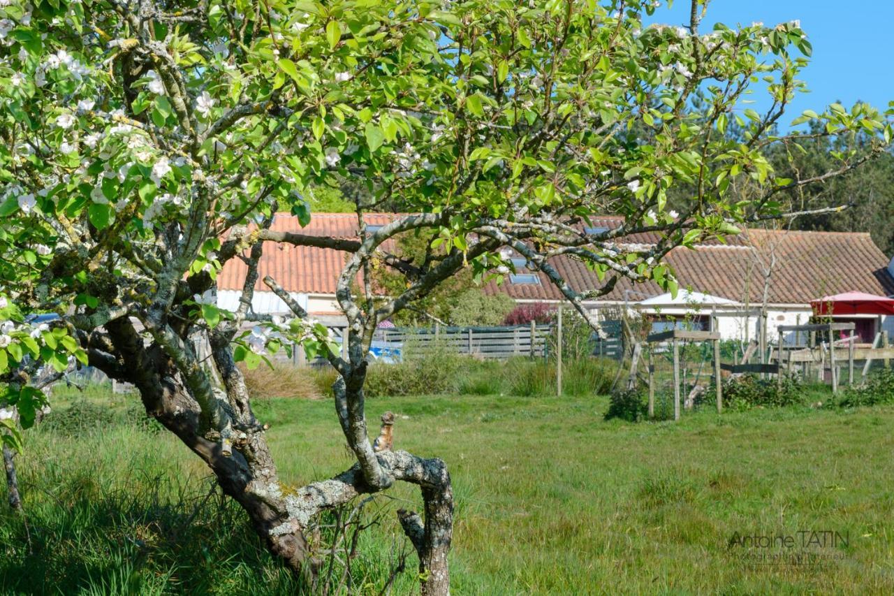 La Chevrerie Bed & Breakfast Vairé Екстериор снимка