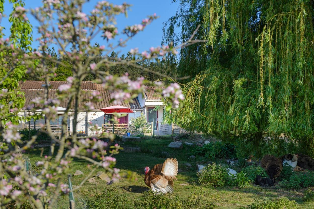 La Chevrerie Bed & Breakfast Vairé Екстериор снимка